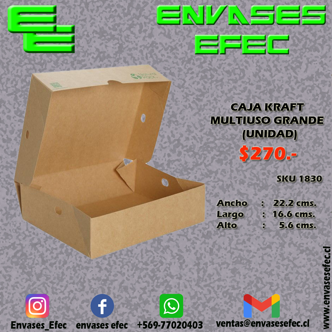 Caja Kraft Multiuso Grande Unidad Envases Efec